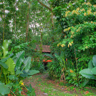 Hotel El Bambú Fachada